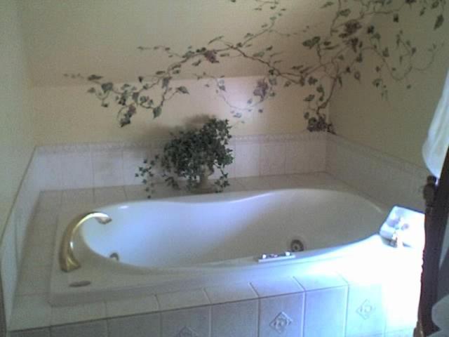 Deluxe King Room Spa Bath