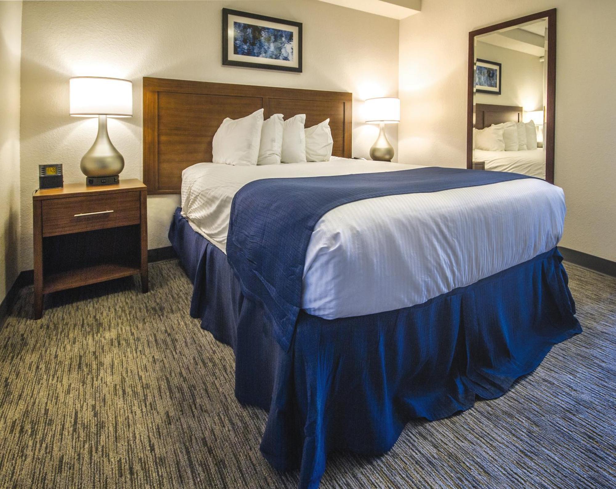 One Bedroom Superior
